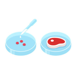動物幹細胞培養液